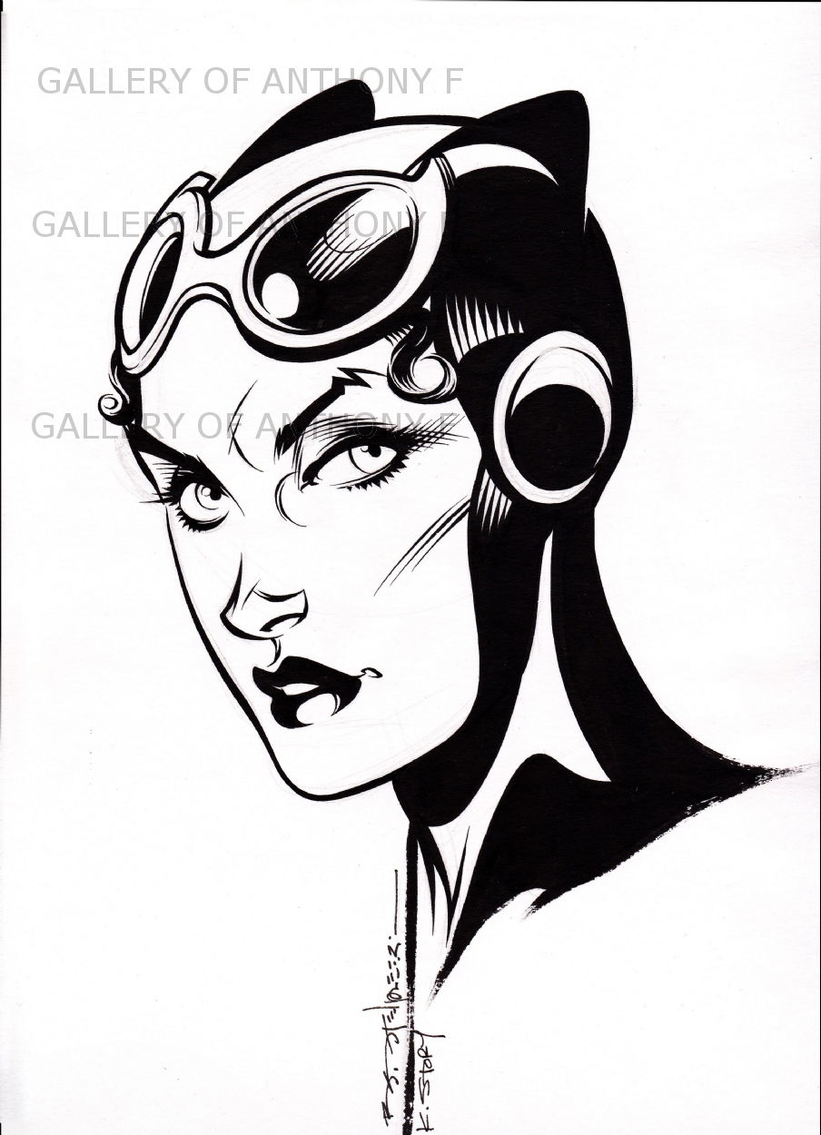 Catwoman by Brian Stelfreeze and Kary Story, in Anthony F's Gifts from ...