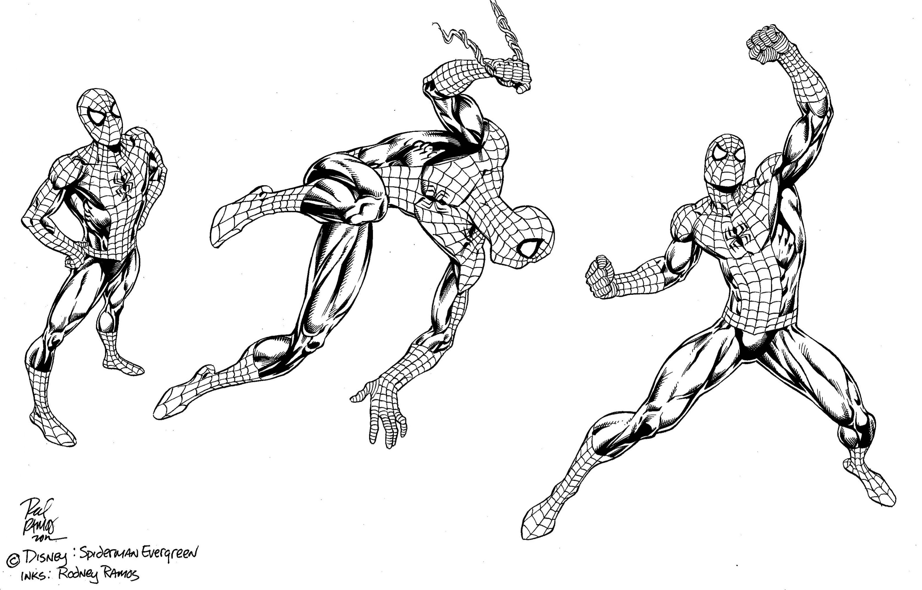 Comic Art Shop :: Ankur J's Comic Art Shop :: Spider-Man Product art ...