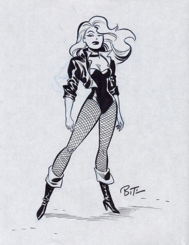 kærlighed forfængelighed mode Bruce Timm - Black Canary, in Tim Easterday's Timm, Bruce Comic Art Gallery  Room