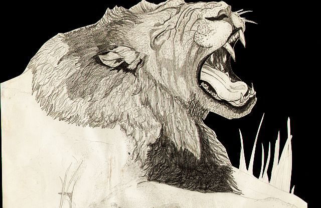 A picture of a Lion yawning, in CHRISTOPHER COSS's My own art Comic Art ...