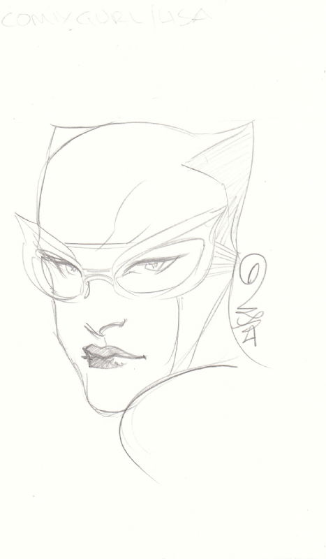 Catwoman by Dustin Nguyen, in Lisa McCarty's Catwoman Comic Art Gallery ...