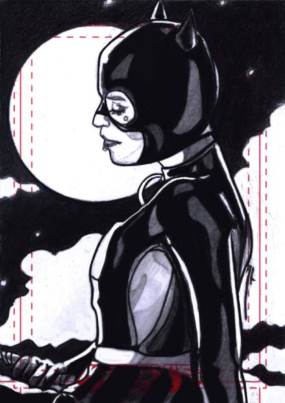 Catwoman By Ingrids Gala, In Lisa Mccarty's Catwoman Comic Art Gallery Room