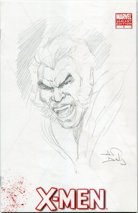 Sabretooth - Alan Davis, in Rafael M.'s X-Men Sketch Covers Comic Art ...