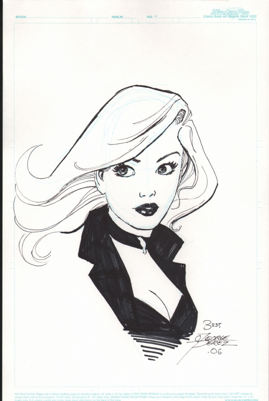Perez, George Black Canary 2006, in Brian M's Golden Age characters ...