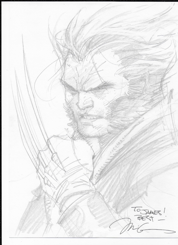 Wolverine Jim Lee Sketch, in kwun 1's Some Nice Art Comic Art Gallery Room