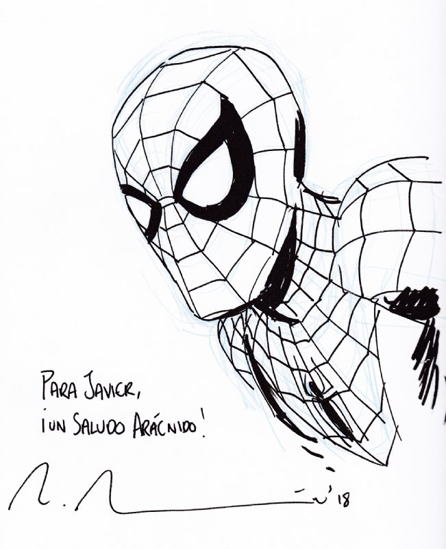 Spiderman, in Javier Cuevas's Marcos Martin Comic Art Gallery Room