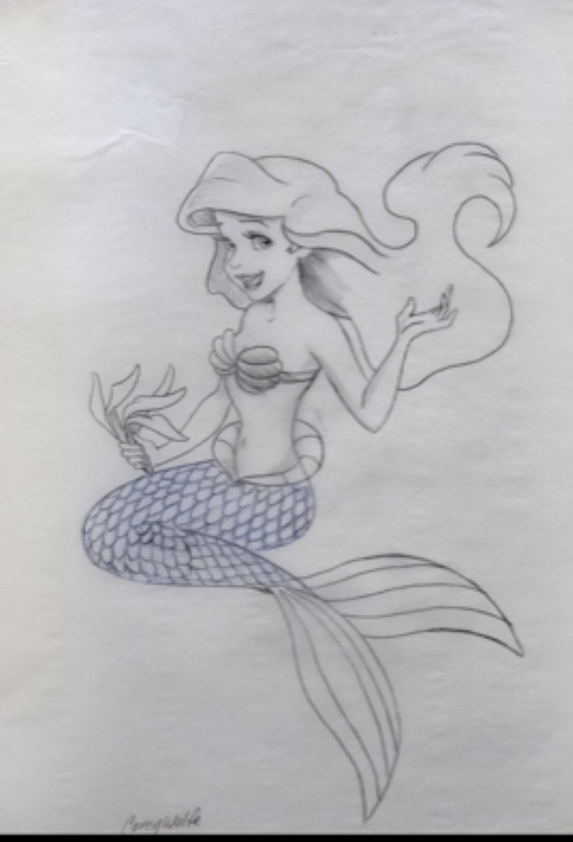 Ariel, The Little Mermaid – naimavanesch.com