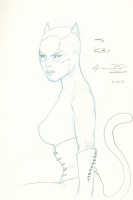 Catwoman Comic Art