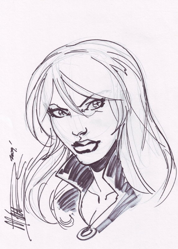 Black Canary by Mike Norton, in Charles Gushi's DC Comic Art Gallery Room