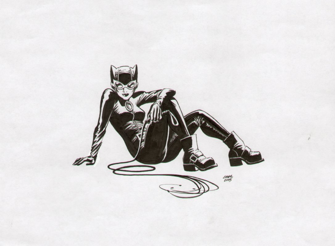 Catwoman Sketch Cameron Stewart In Laura Mcs Catwoman Comic Art