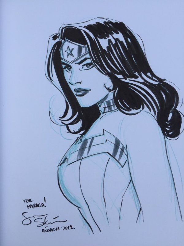 Wonder Woman by Goran Sudzuka, in Marshal Law's DC Comic Art Gallery Room