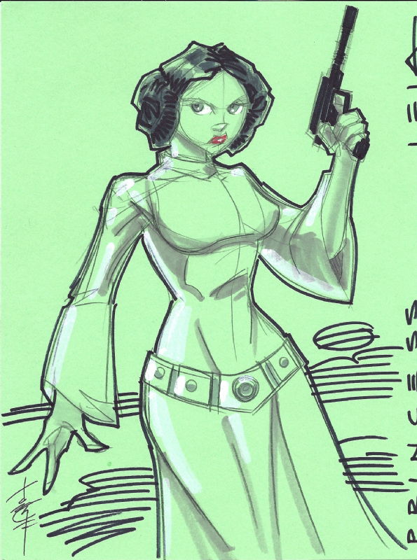 Princess Leia, in Jon Peelman's Star Wars Comic Art Gallery Room