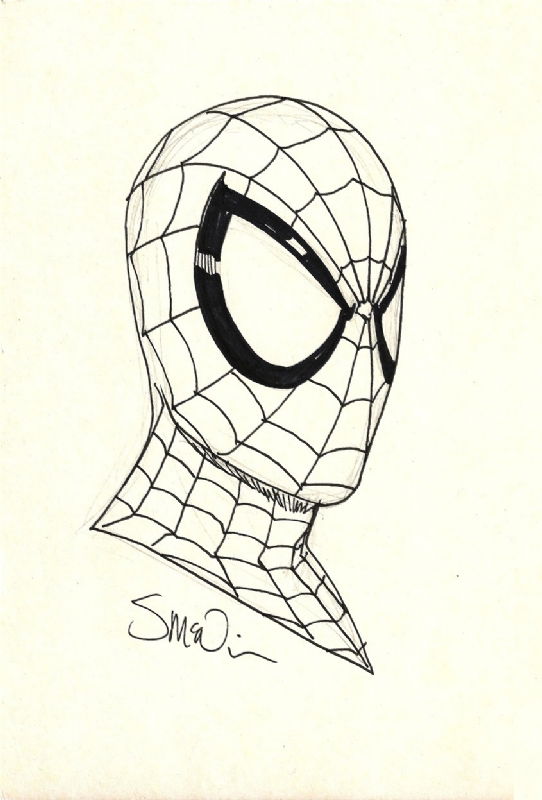 Spider-Man - Steve McNiven, in Damiano Vaccaro's Ebay sketch Comic Art ...