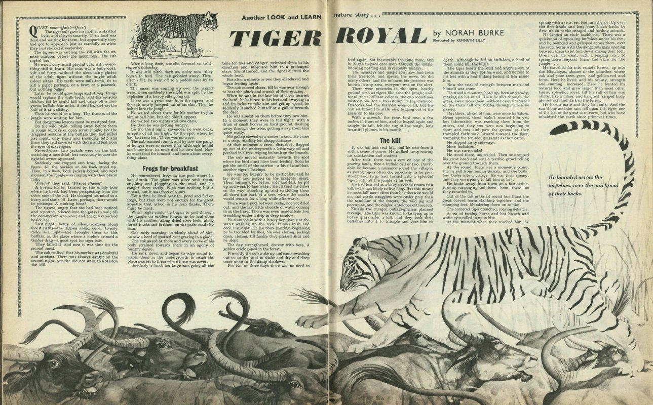 The Blundering Tiger