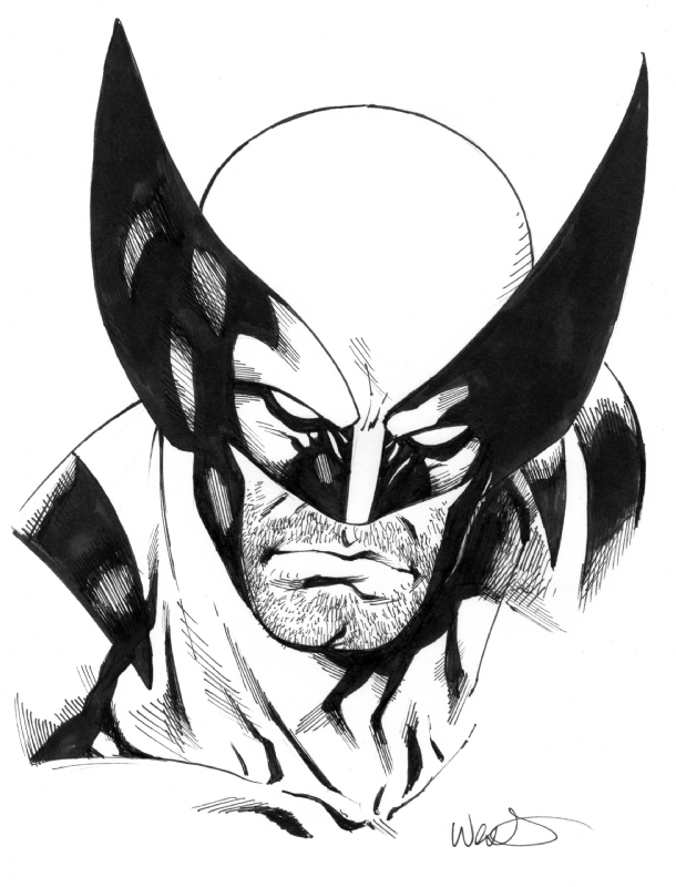 Wolverine, in Kevin West's Sketches Comic Art Gallery Room