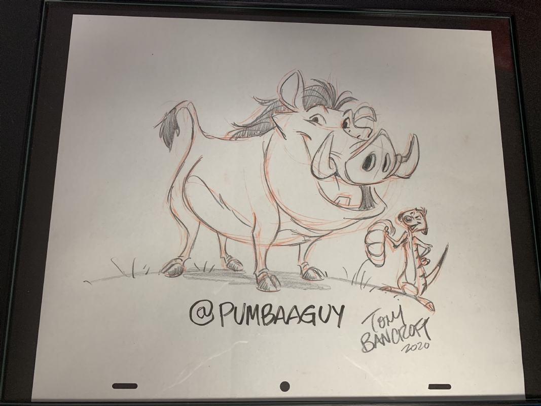 Drawing Picture Of Timon And Pumbaa  DesiCommentscom