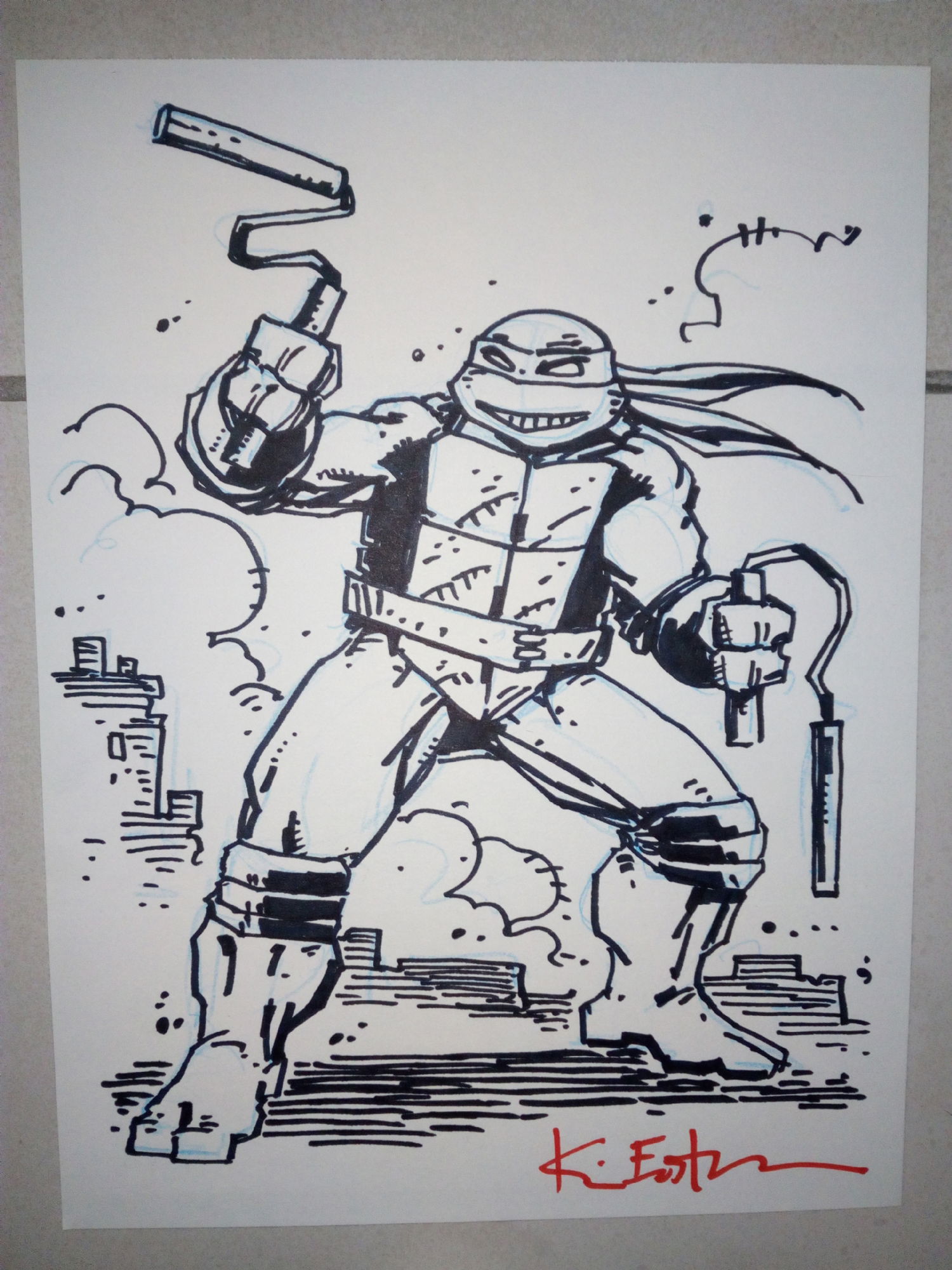 TMNT ninja turtles original drawing by kevin eastman - 900$, in ...