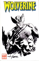 Wolverine by Thomas Yeates Comic Art