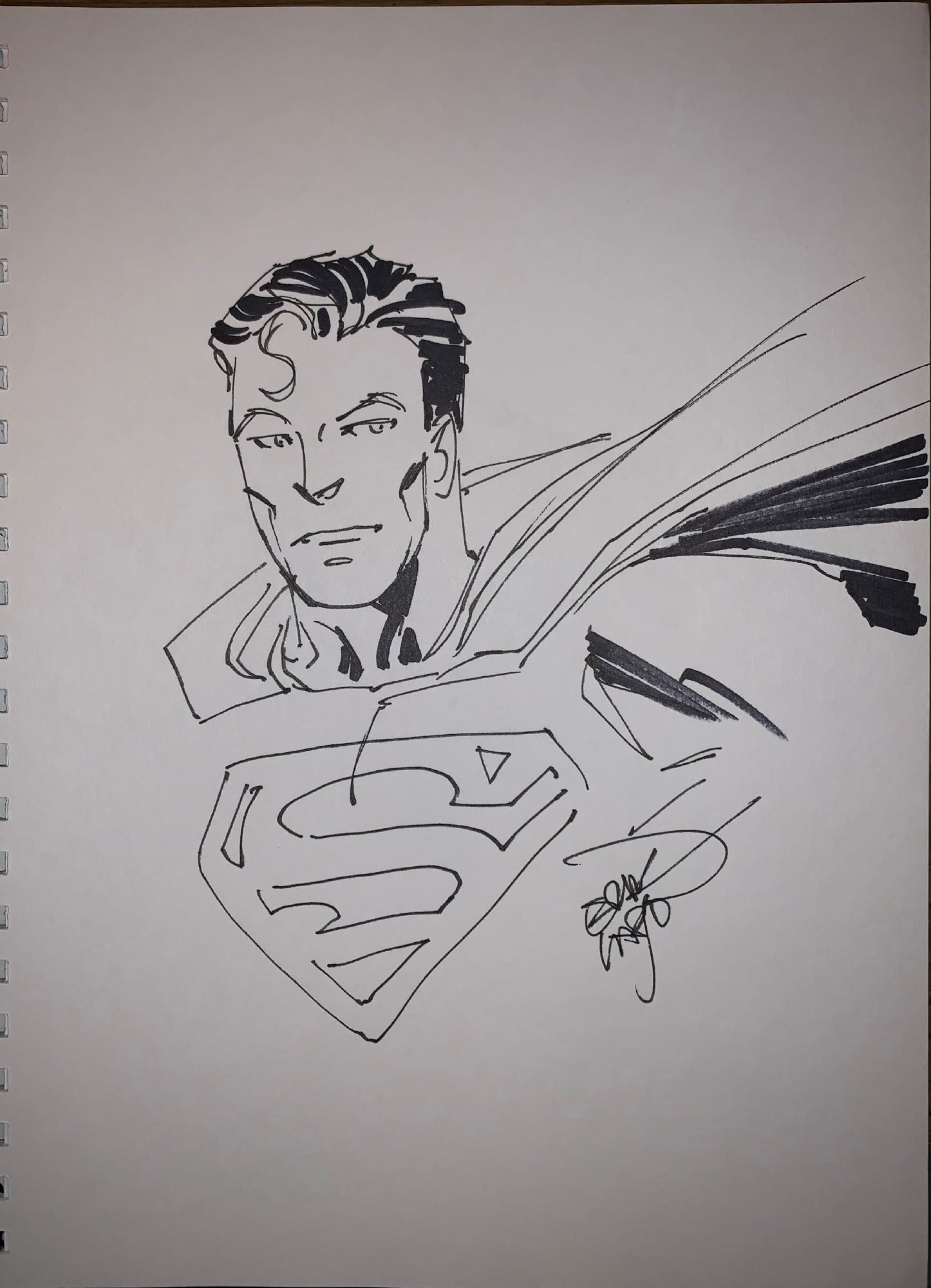 Superman, In Lou Valenti's Erik Larsen Comic Art Gallery Room