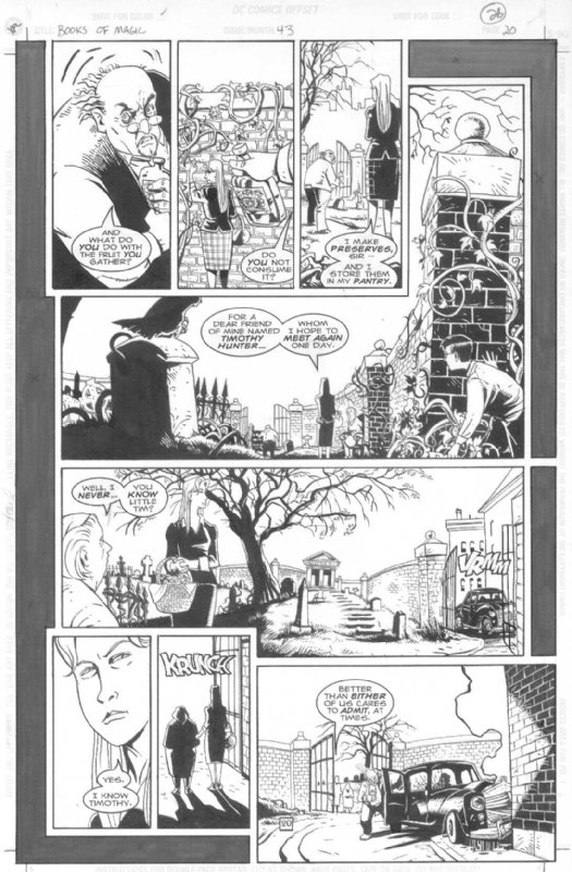 GROSS, PETER - Books Of Magic #43 pg 20, in Stephen Donnelly's GROSS ...
