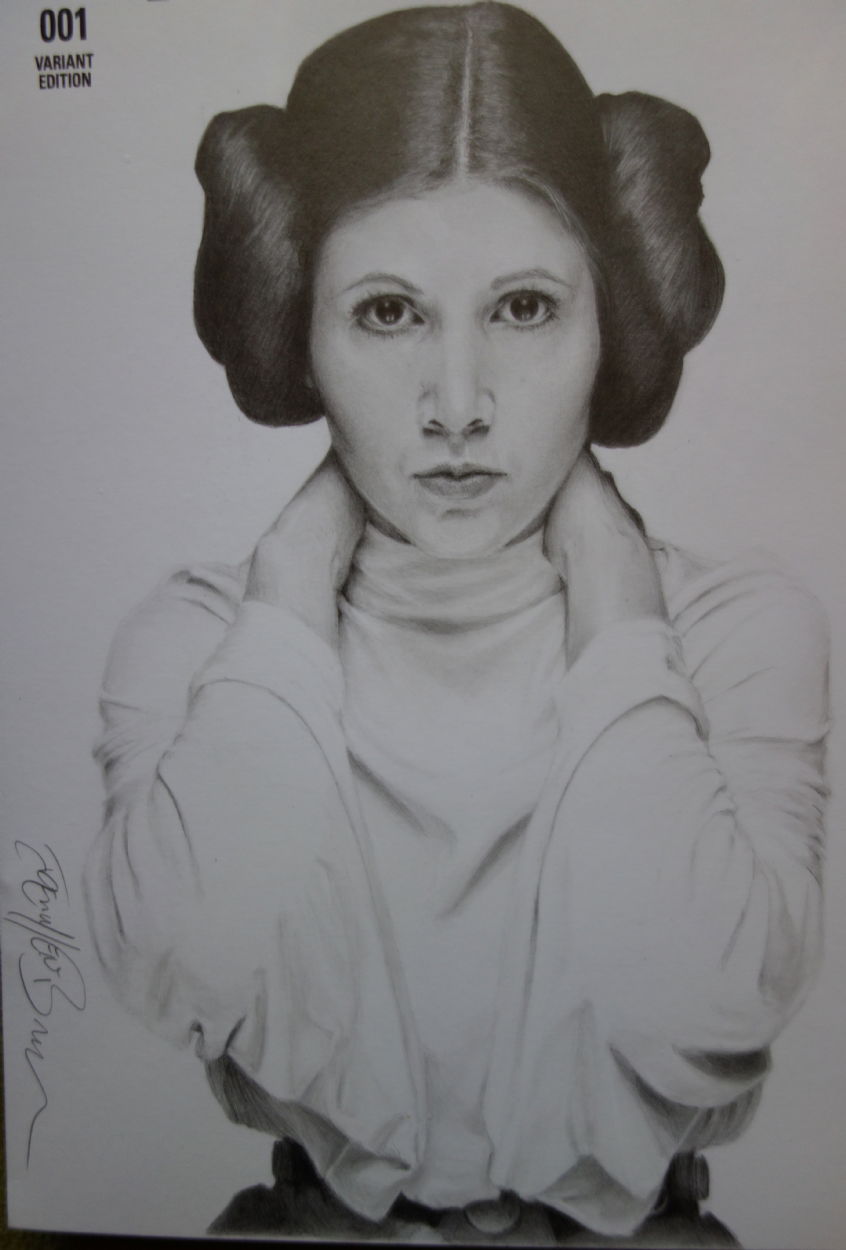 Princess Leia sketch cover by Joel Benedict, in Damon Wright's A lot ...