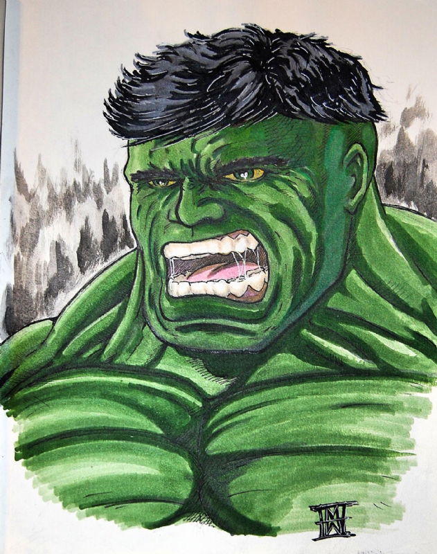 Hulk Michael Watkins In Thomas Suhlings Hulk Sketchbook Volume