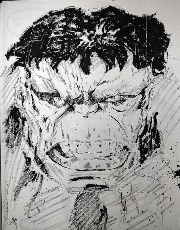 Hulk - Gabriel Rodriguez, in Thomas Suhling's Hulk Sketchbook - Volume ...