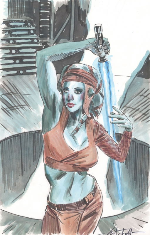 Aayla Secura In Brian Vannierops Star Wars Commissions Comic Art Gallery Room 