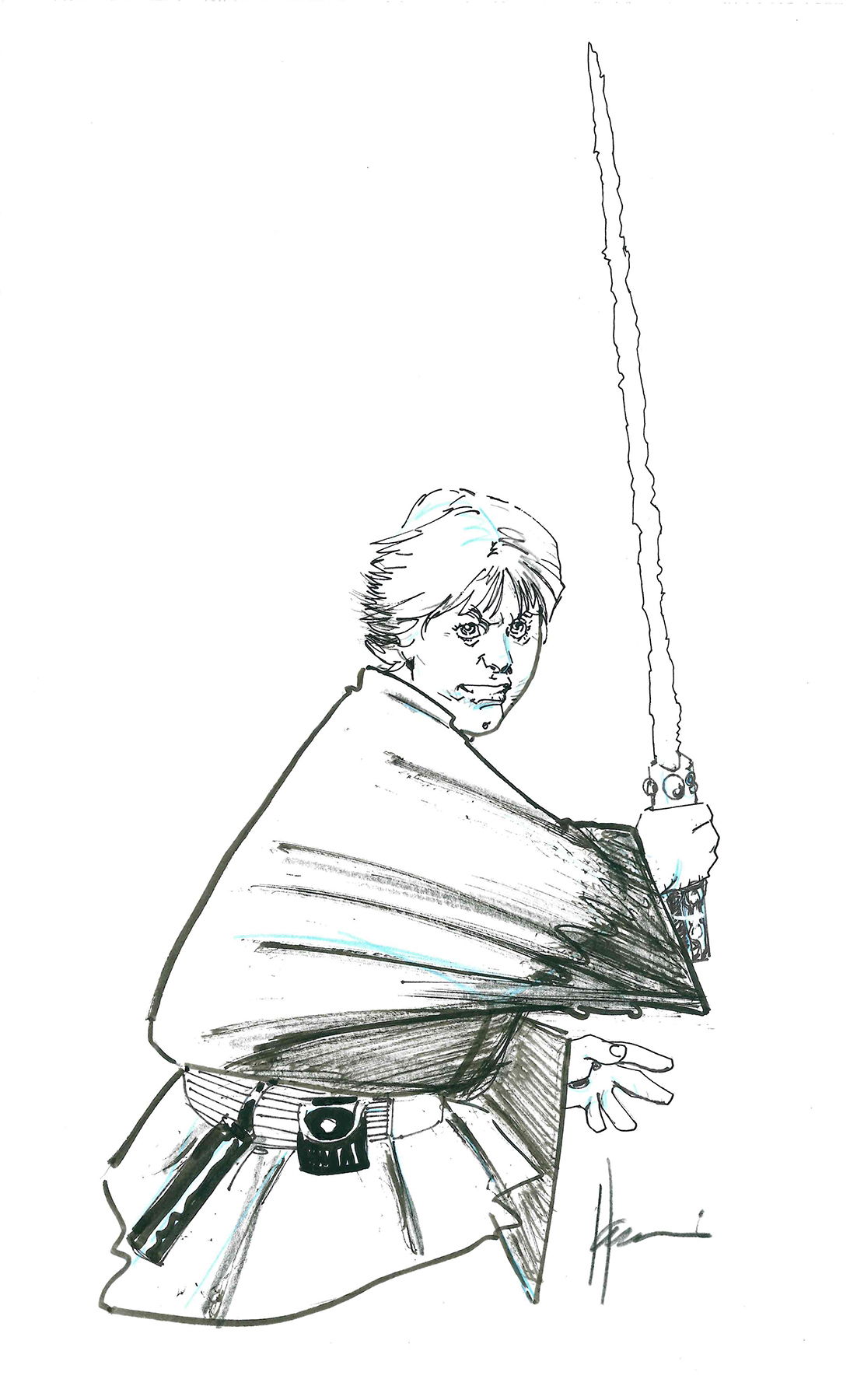 Luke Skywalker by Howard Chaykin, in Jeffrey Wedding's Commissions, Con ...