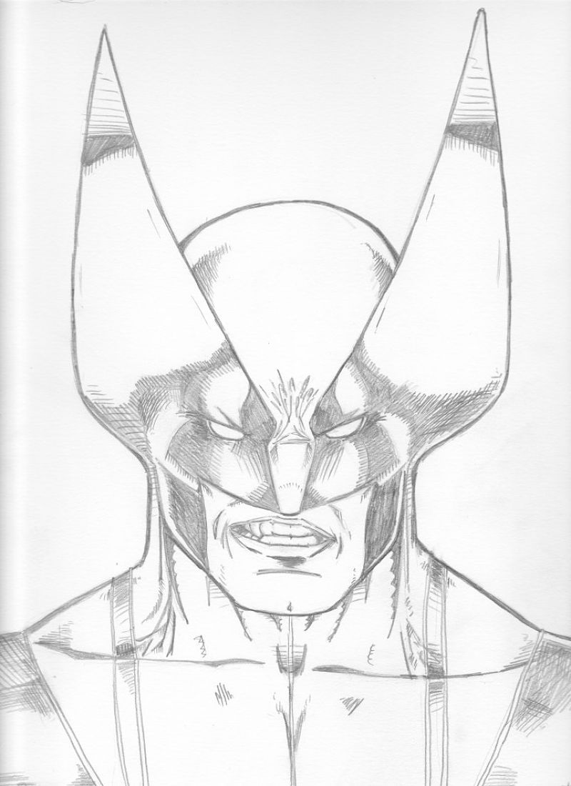 Wolverine headshot sketch, in Justin Adkins's Justin's art Comic Art ...