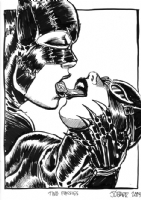 James O'Barr Catwoman Comic Art