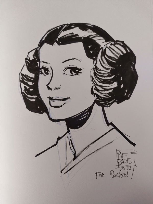 Ramon F. Bachs - Star Wars Princess Leia, In Ro Vo's Star Wars Comic 