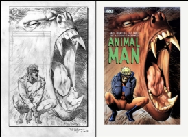 Brian BOLLAND; Animal Man tpb cover prelim Comic Art