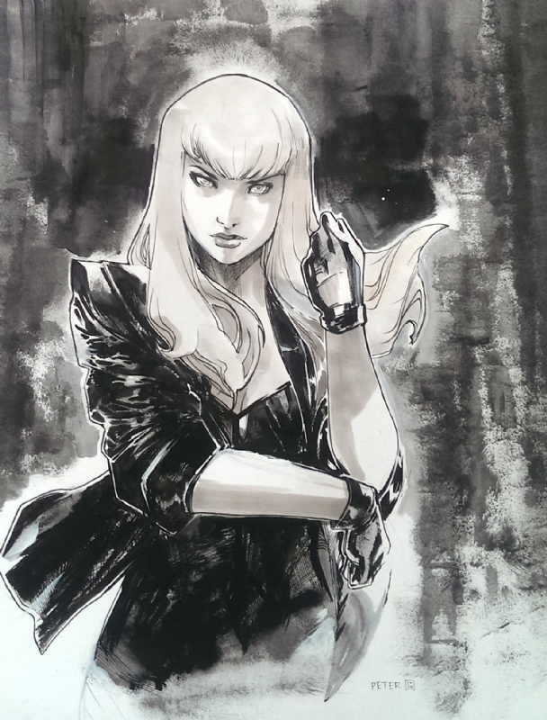 Black Canary, in Elyssa S.A.'s My Commissions Comic Art Gallery Room