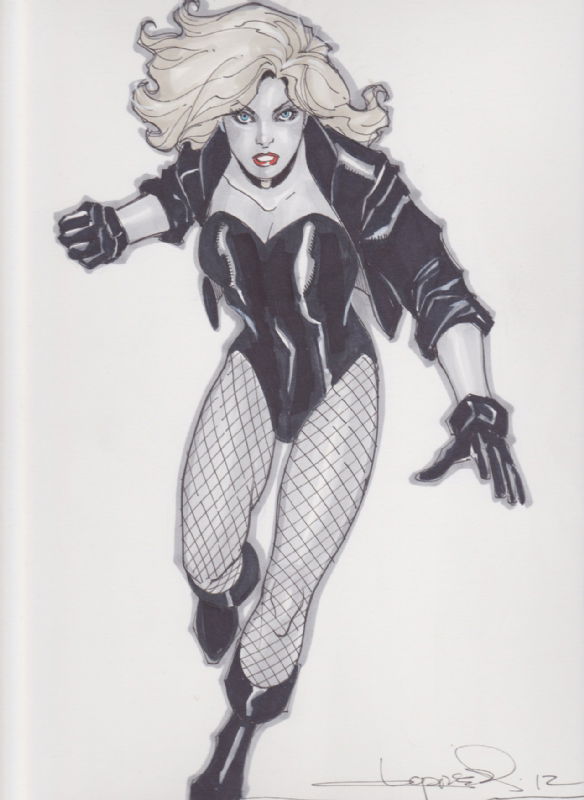 Black Canary, in Elyssa S.A.'s My Commissions Comic Art Gallery Room