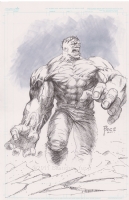 Hulk - Richard Pace Comic Art