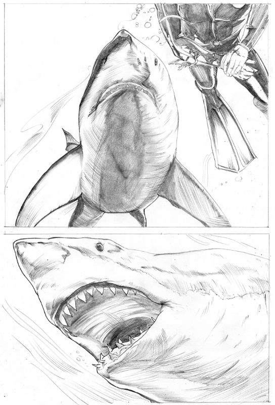 Shark Week pg 85, in Shawn Van Briesen's 10 Deadliest Sharks Comic Art ...