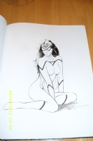 Spider Woman commission  Norman Lee, Comic Art