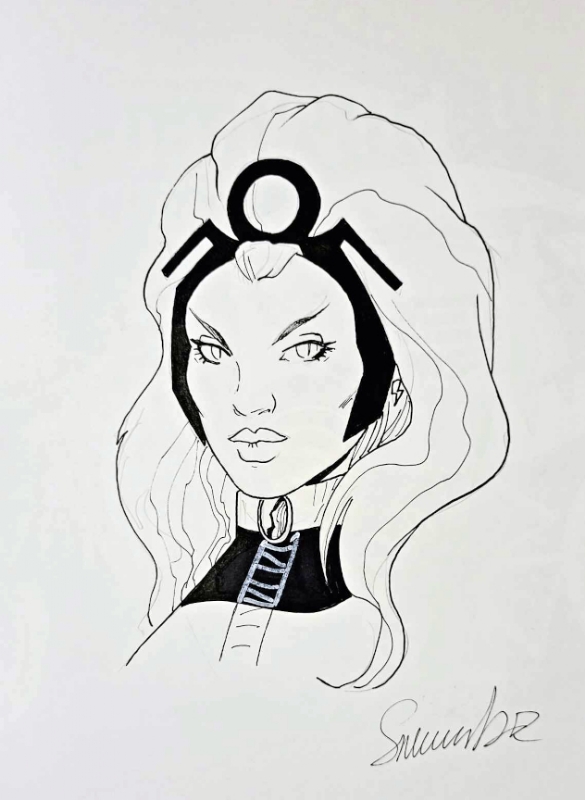 Storm by Salvador Larroca, in Roger Ash's Commissions Comic Art Gallery ...