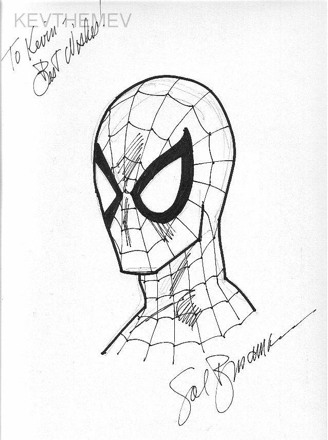 Spider-Man by Sal Buscema, in Kevin Boyd's Spider-Man sketches ...