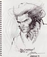 Jim Lee - Wolverine Sketch Comic Art