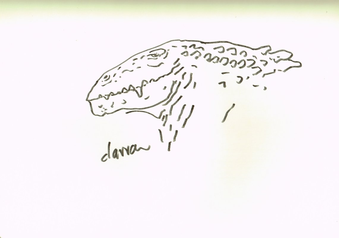 Geoff Darrow Dinosaur 1 Thought Bubble Leeds 2013 In Miles Dufrasne Black Diamond Bcns 