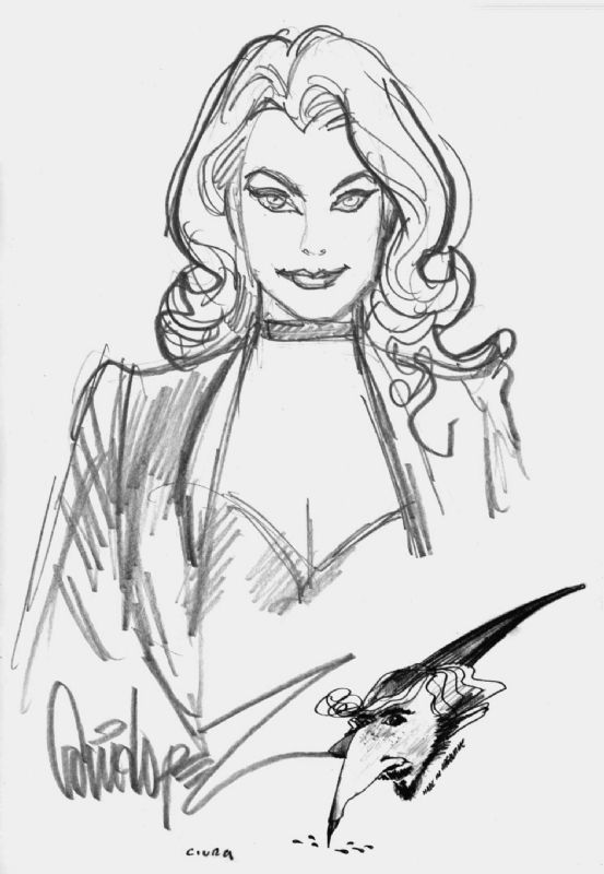 Black Canary by Jose Luis Garcia Lopez, in Samuel Erickson's Jose Luis ...