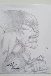 Wolverine by Mark Texeira, in Michael Benham's Remarques Comic Art Gallery  Room