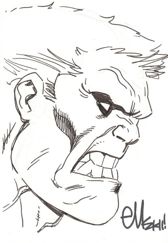 Hulk (Avengers - Age of Ultron) by SoulStryder210 | Marvel art drawings,  Hulk art, Hulk sketch