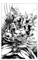 Wolverine  SKIKT!  ink by Jason Paz ove blueline pencil by Stephen Segovia Comic Art