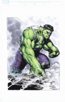 Hulk by Pagulayan, Paz and Martin Comic Art