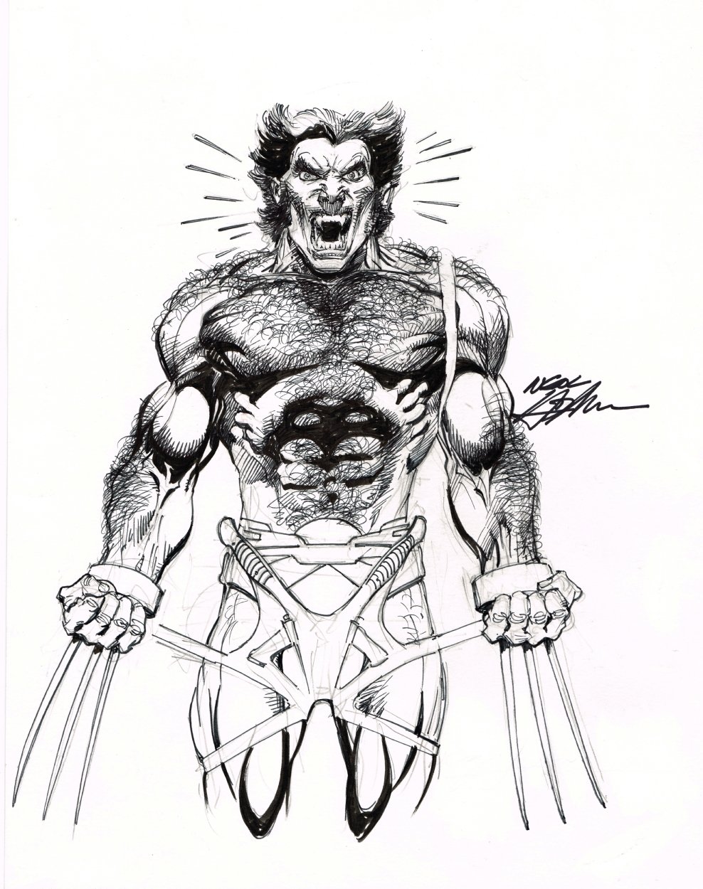 Wolverine Cover Concept - Neal Adams, in J B's The Belmont Gallery ...