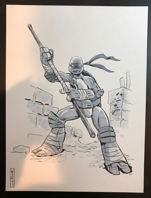 Ninja Turtles - Donatell, In Dan Tracz's Teenage Mutant Ninja Turtles 