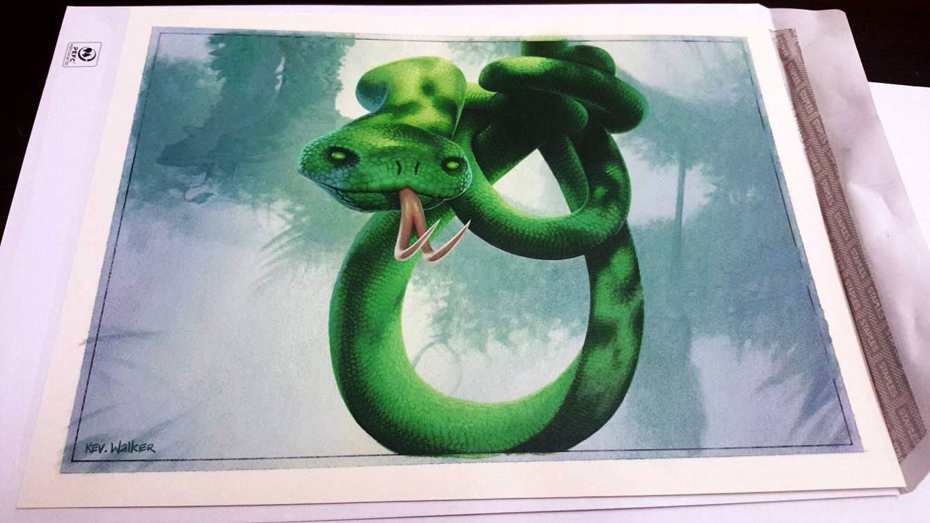 constrictor mtg constrictor mtg